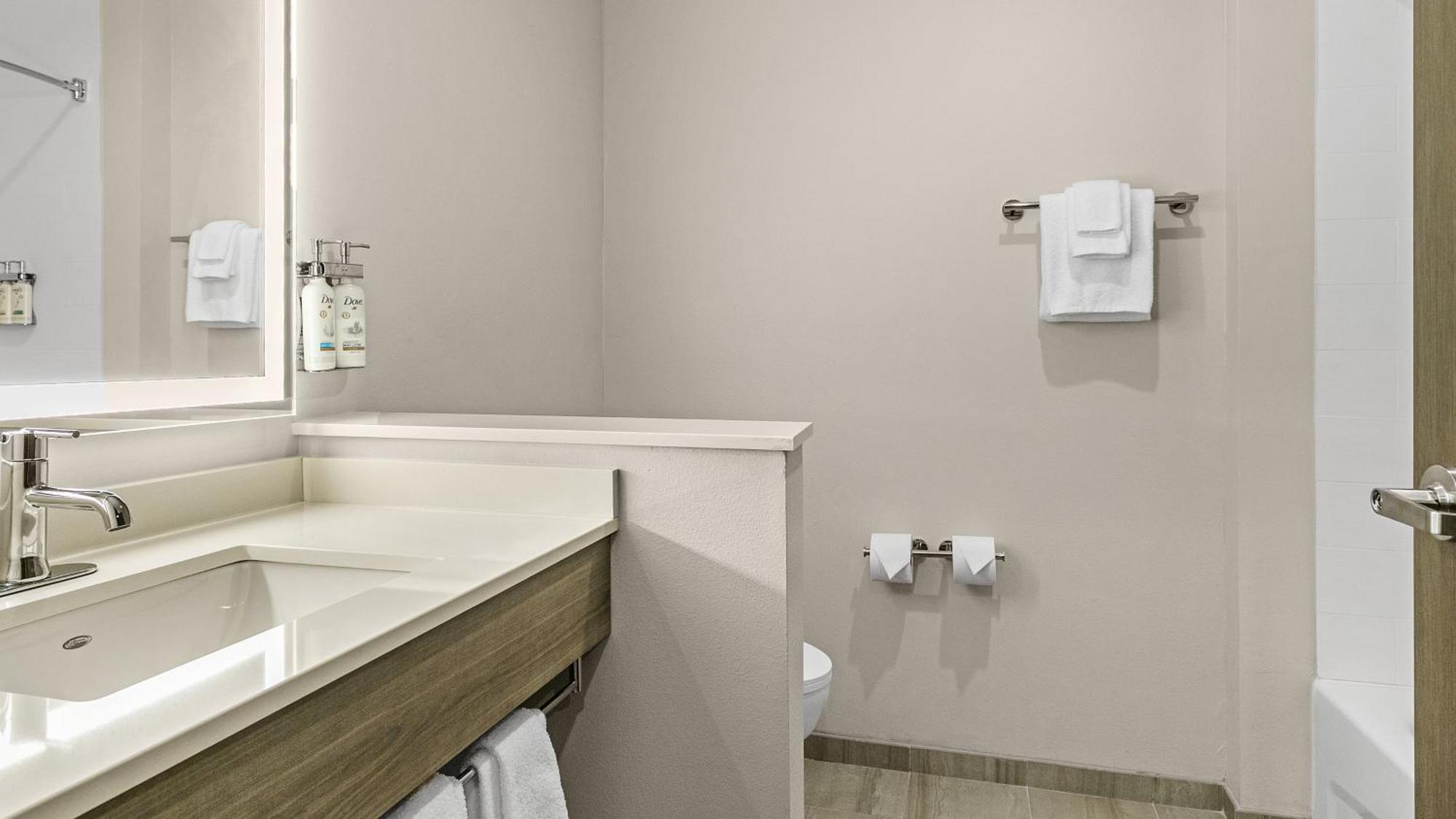 Holiday Express And - - Sarasota South Hotel 3*